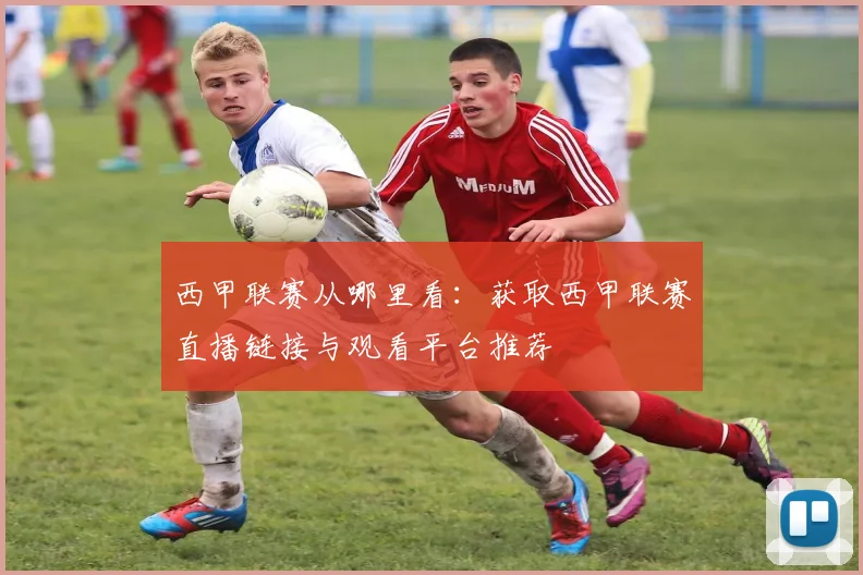 西甲联赛从哪里看：获取西甲联赛直播链接与观看平台推荐